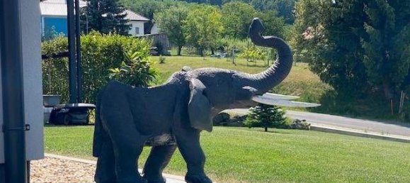 4 rooms Bungalow in Gussing, Austria No. 153010 17