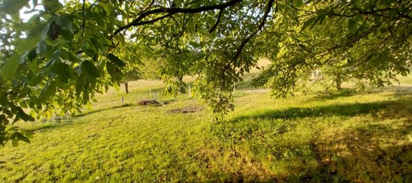 Casa de 3 dormitorios en Le Val-d'Ajol, France No. 329148 3