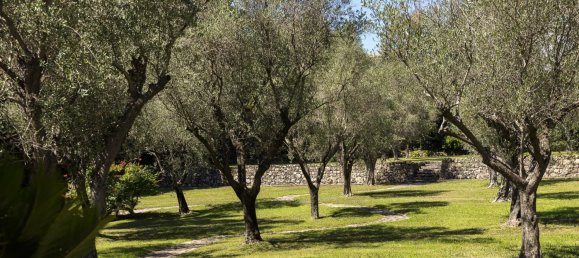 5 bedrooms Villa in Mougins, France No. 1554 11