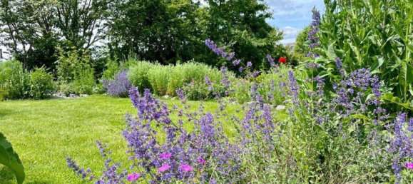 Casa T3 em Euskirchen, Germany N.º 232517 20