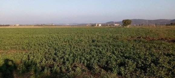 3-Zimmer Haus in Orbetello, Italy, Nr. 92744 7