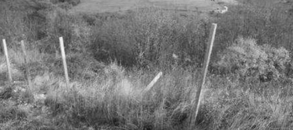 42289m² Land in Tregnago, Italy No. 324111 4