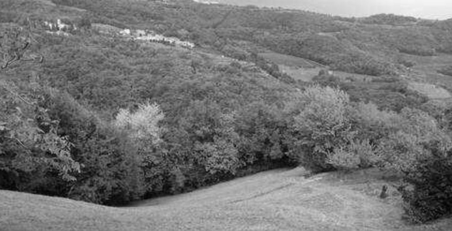 42289m² Land in Tregnago, Italy No. 324111