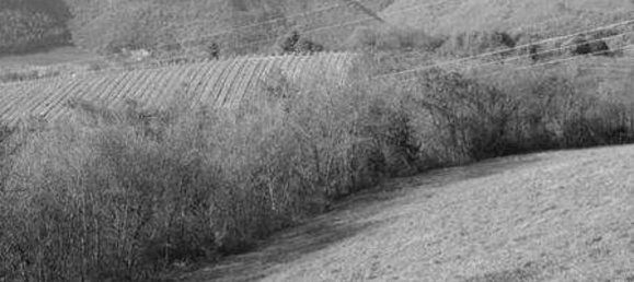 42289m² Land in Tregnago, Italy No. 324111 3