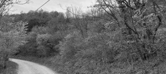 42289m² Land in Tregnago, Italy No. 324111 5