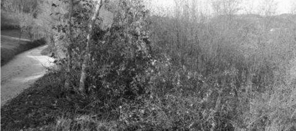 42289m² Land in Tregnago, Italy No. 324111 2