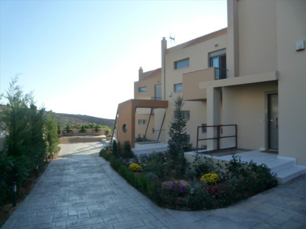 5 bedrooms Villa in Penteli, Greece No. 4677
