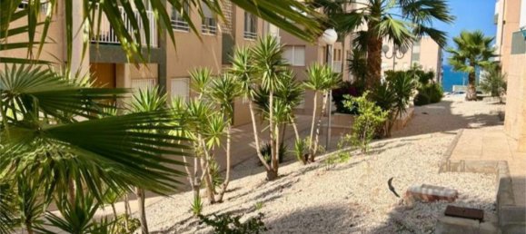 2 bedrooms Apartment in Torrevieja, Spain No. 175872 20