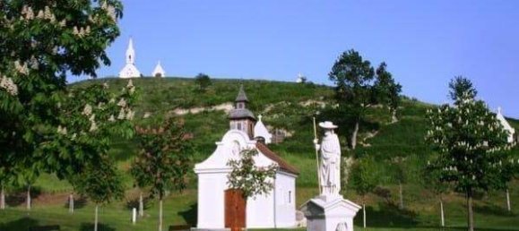 5 rooms Bungalow in Neusiedl am See, Austria No. 247019 25