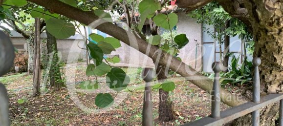 7 rooms House in Pescaglia, Italy No. 298270 19