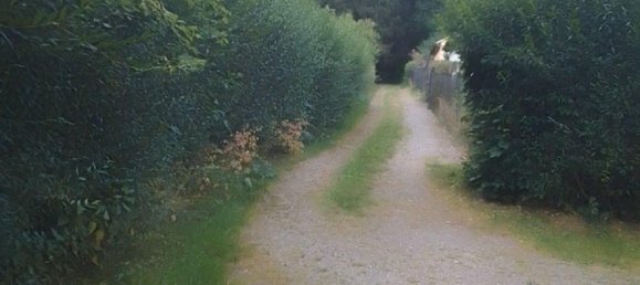 Terrain à Mittelsachsen, Germany No. 354792 13