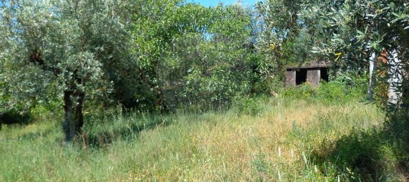 2 bedrooms House in Alvaiazere, Portugal No. 179306 14