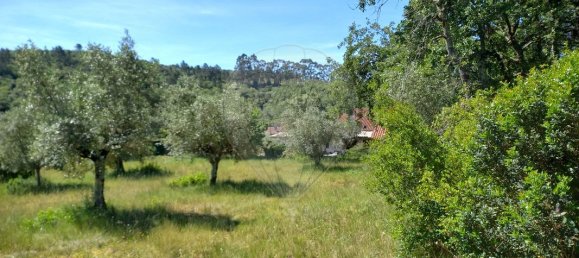 2 bedrooms House in Alvaiazere, Portugal No. 179306 5