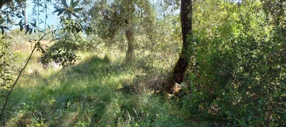 2 bedrooms House in Alvaiazere, Portugal No. 179306 7