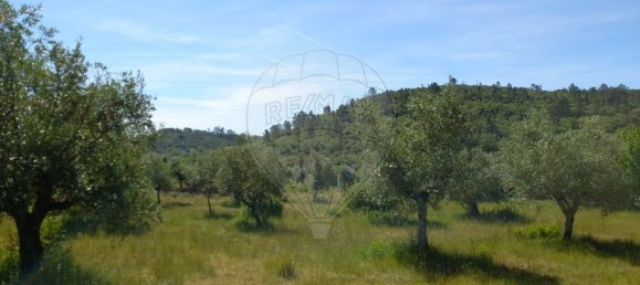 2 bedrooms House in Alvaiazere, Portugal No. 179306 4