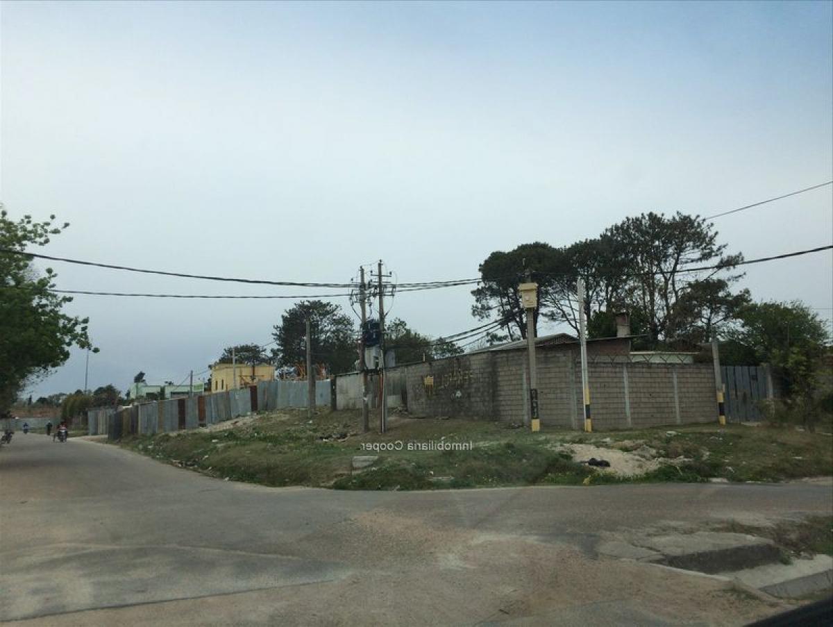 Grundstück in Montevideo, Uruguay, Nr. 14218