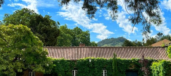 15 bedrooms House in Torres Vedras, Portugal No. 189878 9