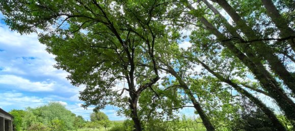 15 bedrooms House in Torres Vedras, Portugal No. 189878 19