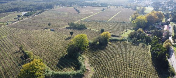 15 bedrooms House in Torres Vedras, Portugal No. 189878 4