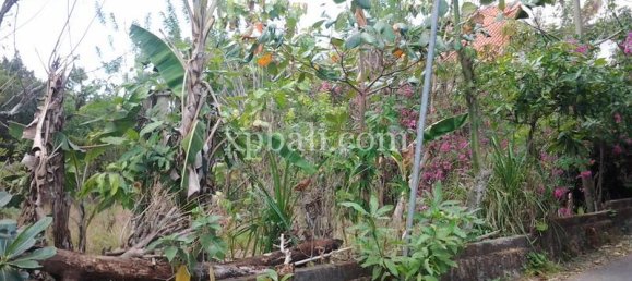 Terreno en Jimbaran, Indonesia 450 m² No. 3891 2
