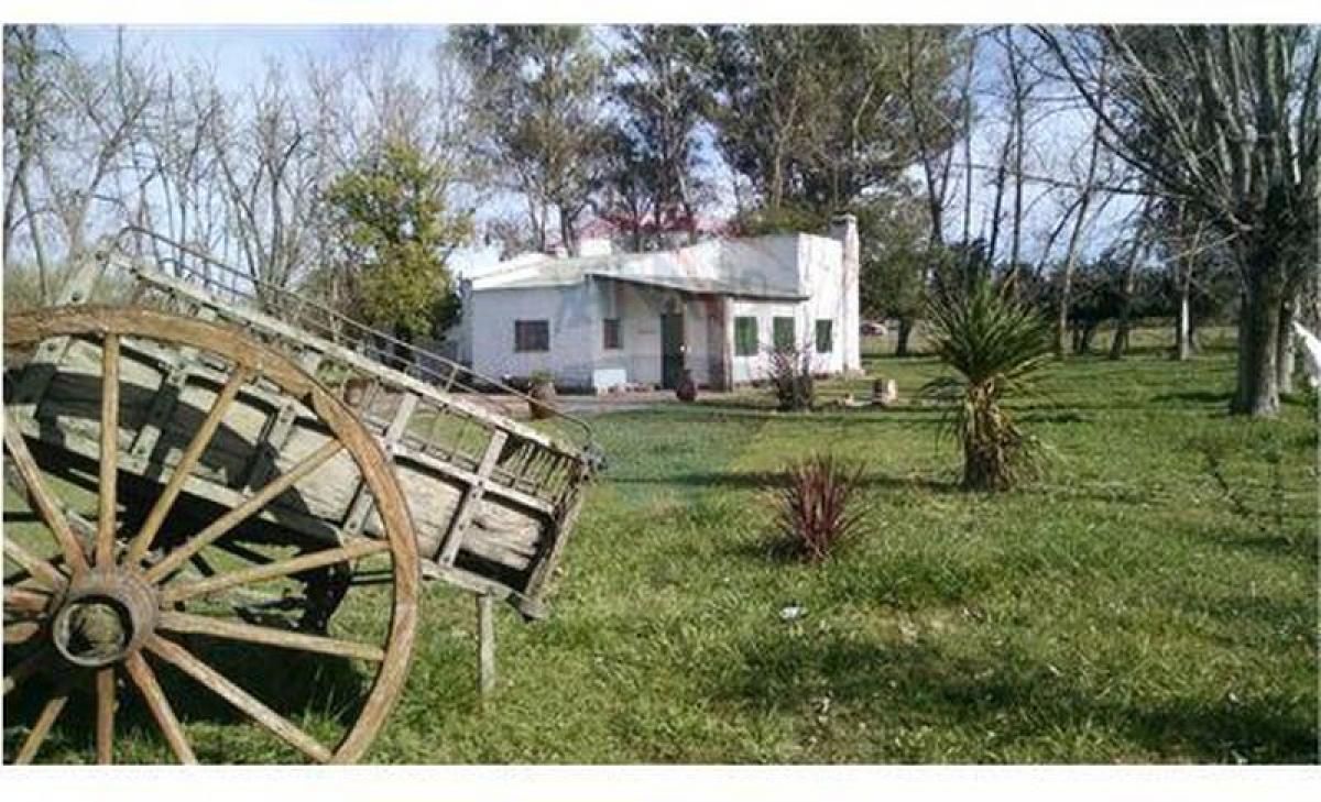 4 غرف نوم منزل في Lujan, Argentina رقم 16223