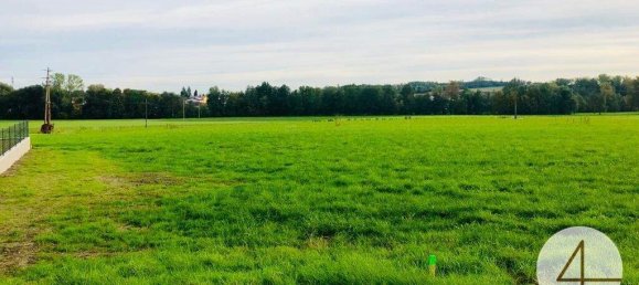  Land in Andorf, Austria No. 143476 17