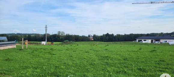  Land in Andorf, Austria No. 143476 3