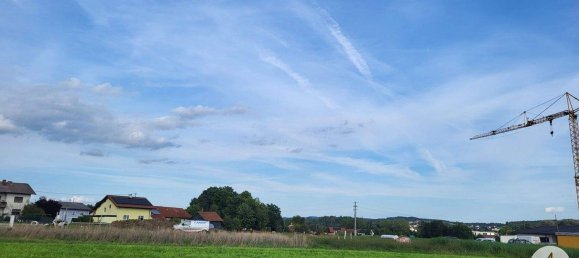  Land in Andorf, Austria No. 143476 6