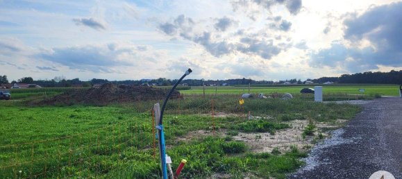  Land in Andorf, Austria No. 143476 15