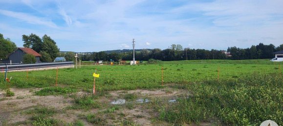  Land in Andorf, Austria No. 143476 4