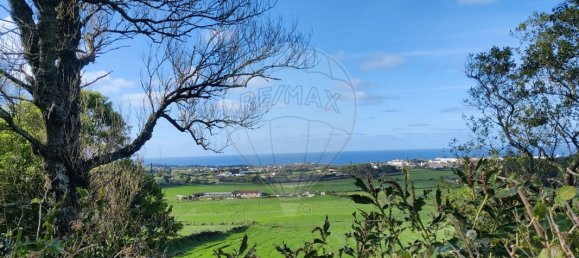 3 غرف نوم منزل في Rabo de Peixe, Portugal رقم 24709 34