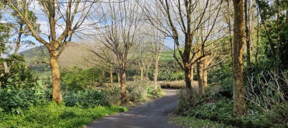 3 غرف نوم منزل في Rabo de Peixe, Portugal رقم 24709 6