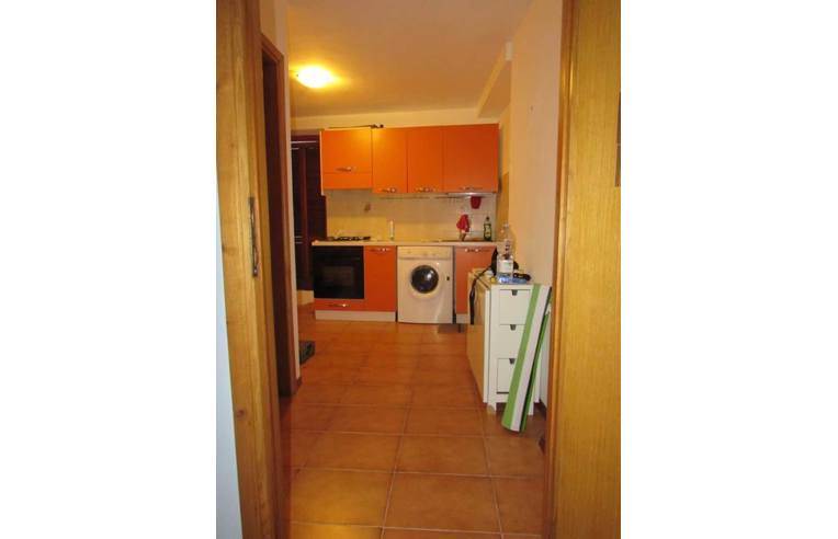 Studio in Campo nell'Elba, Italy No. 254756