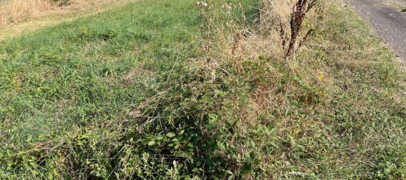 Terrain à Saint-Chamond, France No. 319121 2