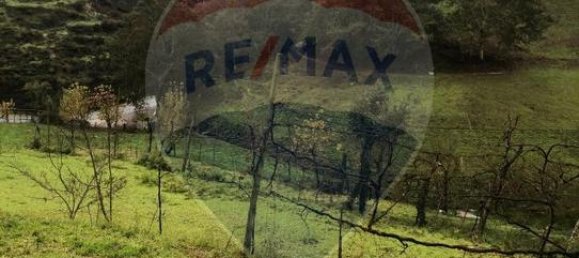 1 bedroom House in Cabril, Portugal No. 172465 6