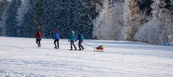 4غرفة شقة في Ponte di Legno, Italy رقم 311876 18