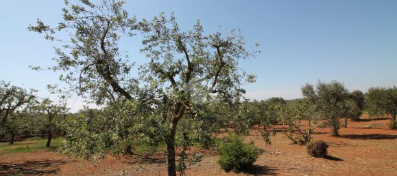 Estúdio em Ostuni, Italy N.º 227406 11