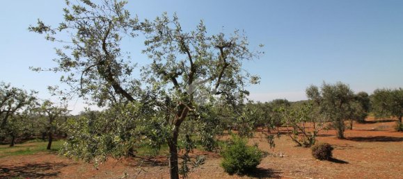 Estúdio em Ostuni, Italy N.º 227406 7