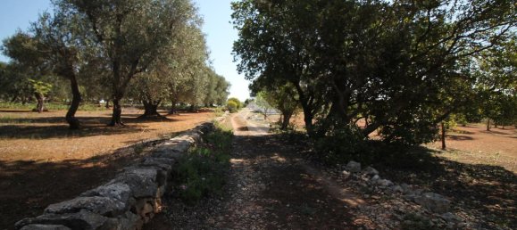 Estúdio em Ostuni, Italy N.º 227406 6