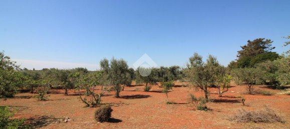 Estúdio em Ostuni, Italy N.º 227406 9