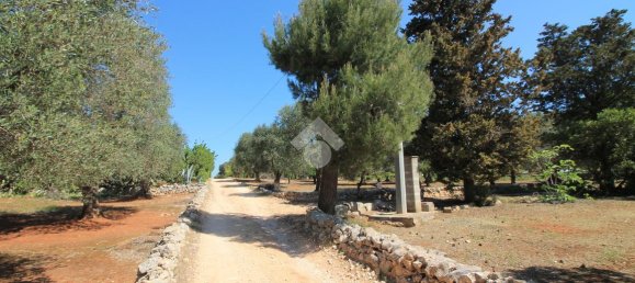 Estúdio em Ostuni, Italy N.º 227406 14