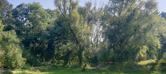  Land in Leipzig, Germany No. 181874 3