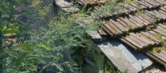 6 rooms House in Varazze, Italy No. 128866 50