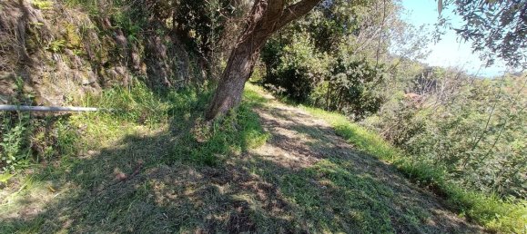 6 rooms House in Varazze, Italy No. 128866 41