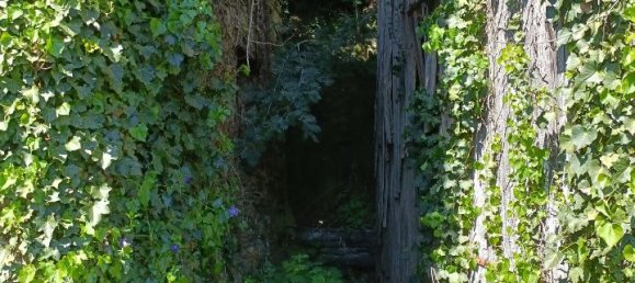 6 rooms House in Varazze, Italy No. 128866 12