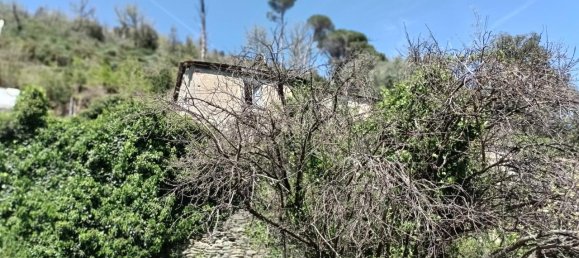 6 rooms House in Varazze, Italy No. 128866 16