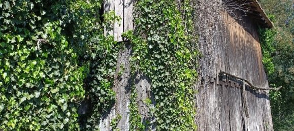 6 rooms House in Varazze, Italy No. 128866 11