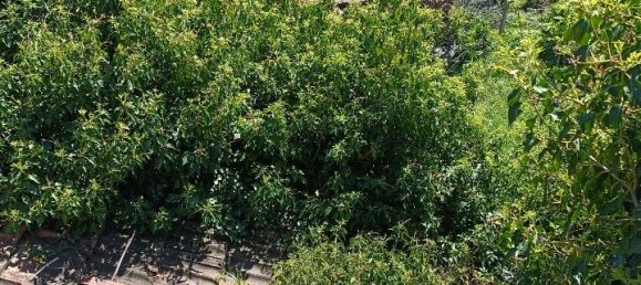 6 rooms House in Varazze, Italy No. 128866 48