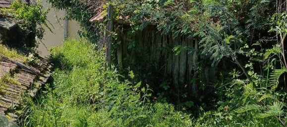 6 rooms House in Varazze, Italy No. 128866 2