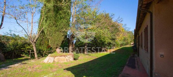 10 rooms House in Trequanda, Italy No. 176134 19